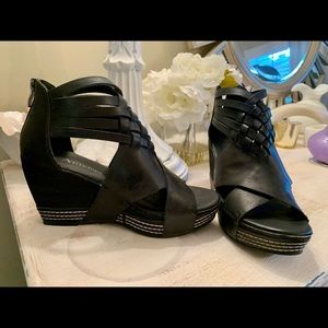 ‼️ Antelope‼️